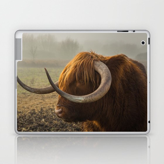Scottish Highland Cow | Scottish Cattle | Cute Cow | Cute Cattle 01 Laptop & iPad Skin