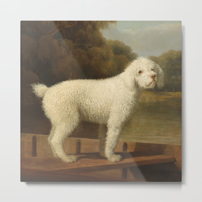 George Stubbs - White Poodle in a Punt Metal Print