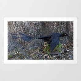 Microraptor Art Print | Photo, Microraptor, Feathereddinosaur, Dinosaur 