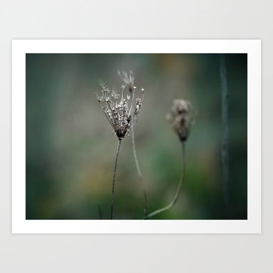 Emerald Fade Art Print