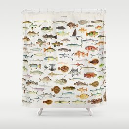 Illustrated Colorful Southern Pacific Exotic Game Fish Identification Chart Shower Curtain