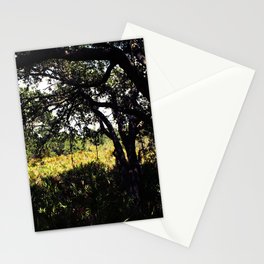 Palmettos in the shade  Stationery Cards