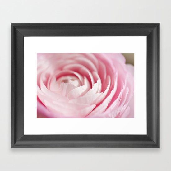 Ranunculus Framed Art Print