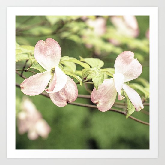 shying away from each other Art Print