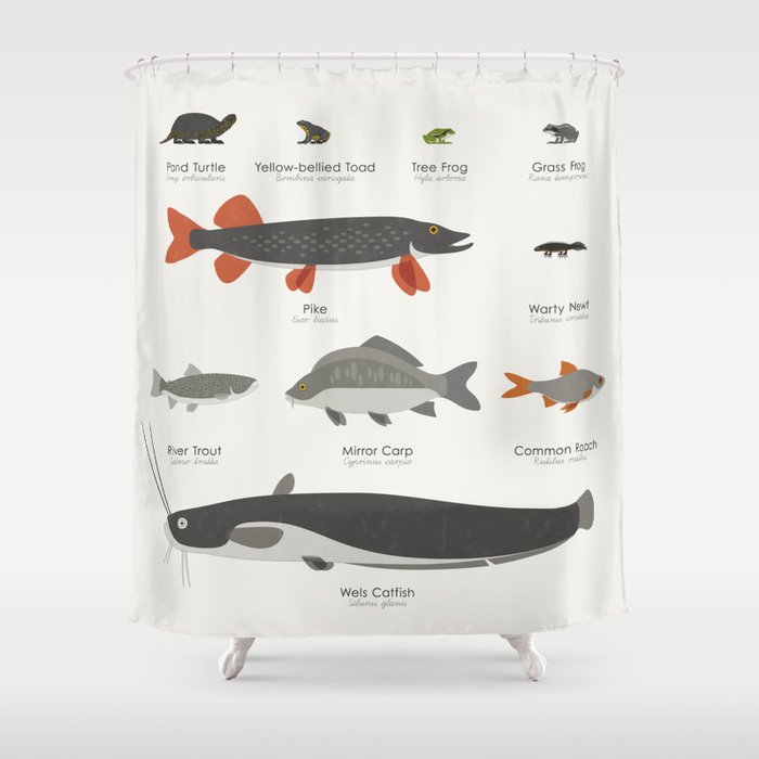 Water Animals and Fish Chart Guide Shower Curtain