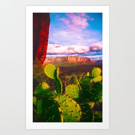 Cacti with a View (Cathedral Rock) Art Print
