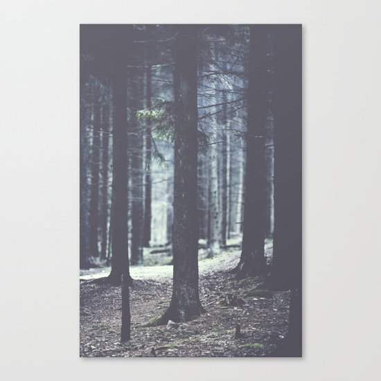 So close yet so far away Canvas Print