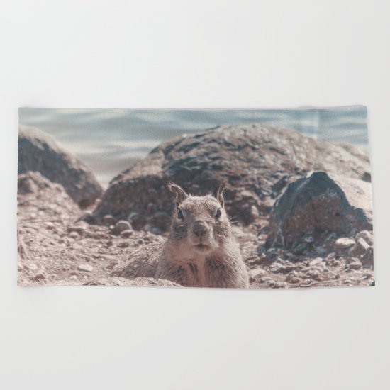 Proud Squirrel Sunbathing at the Lake Beach Towel