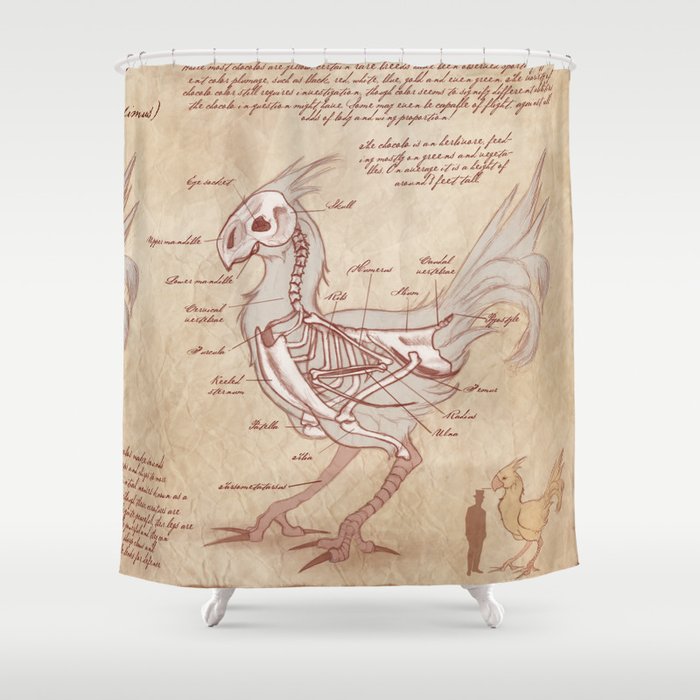 Anatomy Of The Chocobo Shower Curtain By Kazpalladino Society6 Anatomy Of The Chocobo Shower Curtain