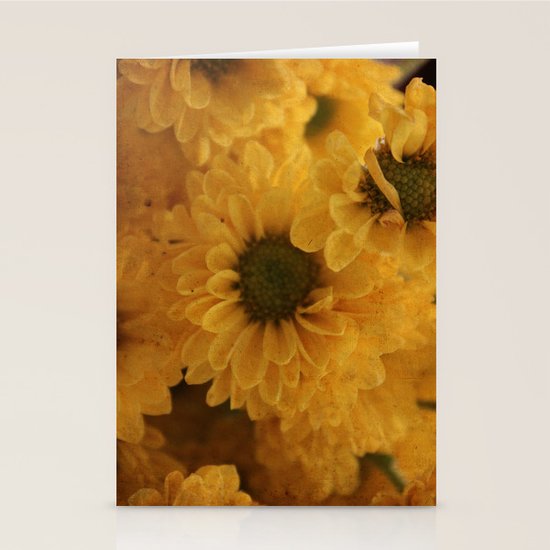 Ox Eye Stationery Cards