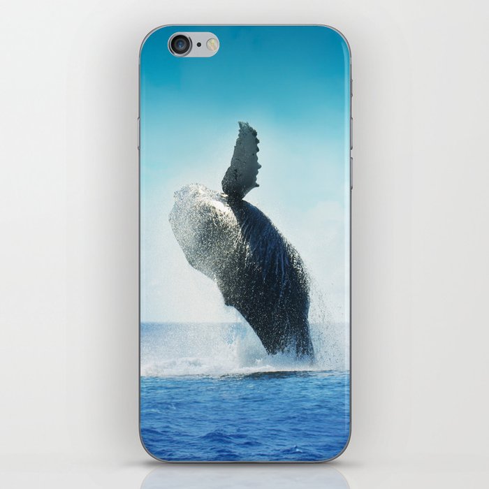 Mexico Photography - Big Whale Jumping Up From The Water iPhone Skin