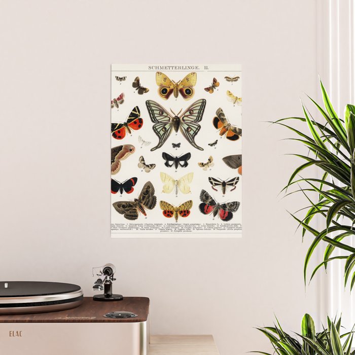 Wall Art + Posters, Urban Outfitters