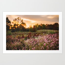 Purple Enchanted Garden I Art Print | Flowers, Digital, Landscape, Summer, Photo, Flowerfarm, Garden, Glow, Backdrop, Purple 