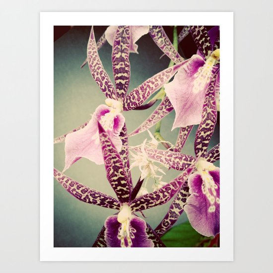 Orchid Love 2 Art Print