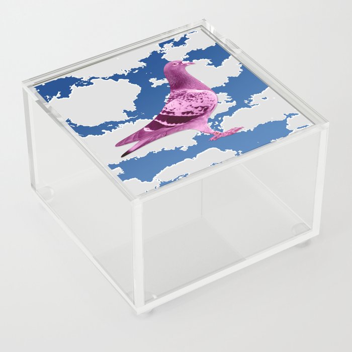 Pink Pigeon Acrylic Box