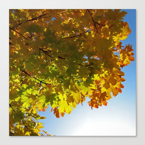 autumn tree III Canvas Print