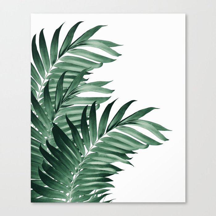 Palm Leaves Tropical Green Vibes #3 #tropical #decor #art #society6 Canvas Print