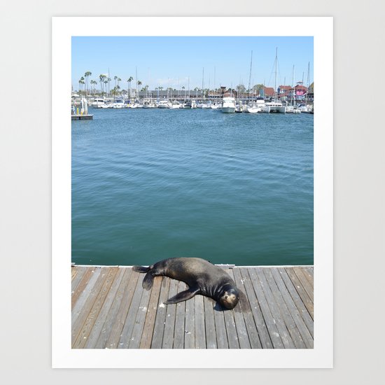 Sea Lion Smile Art Print