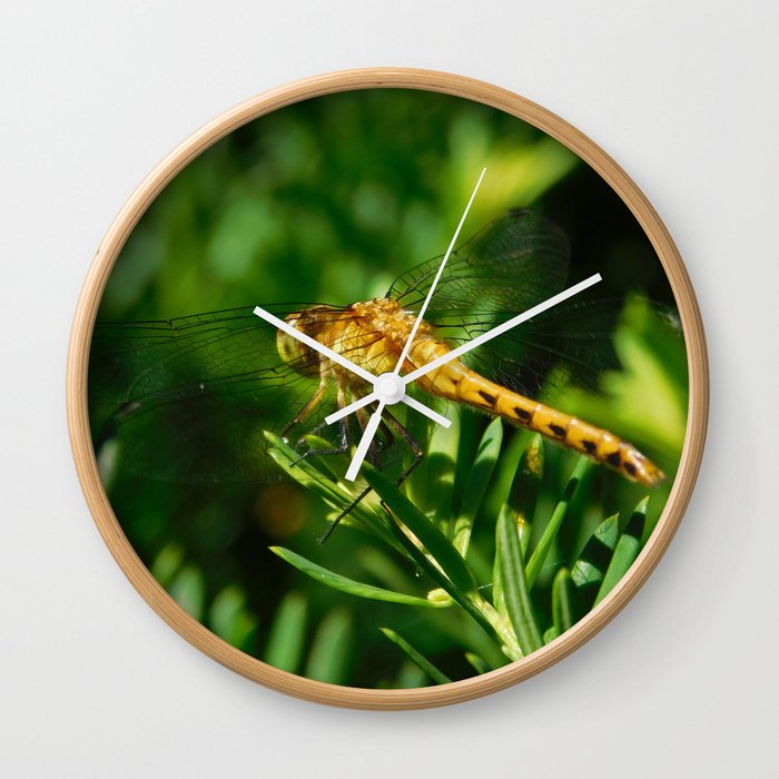 Dragonfly Wall Clock