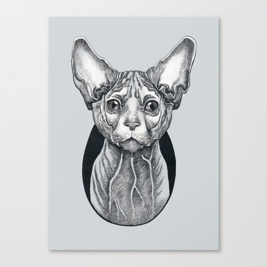 Sphynx cat Canvas Print