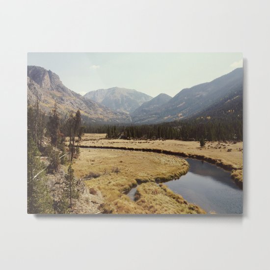 Rocky Mountain Meadow Metal Print