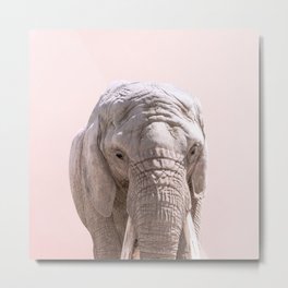 Elephant Portrait and Pink Sky Metal Print | Elephantprints, African, Pinksky, Pinkpunset, Elephantphotography, Wildlife, Animal, Nature, Pinkprints, Elephantartprint 