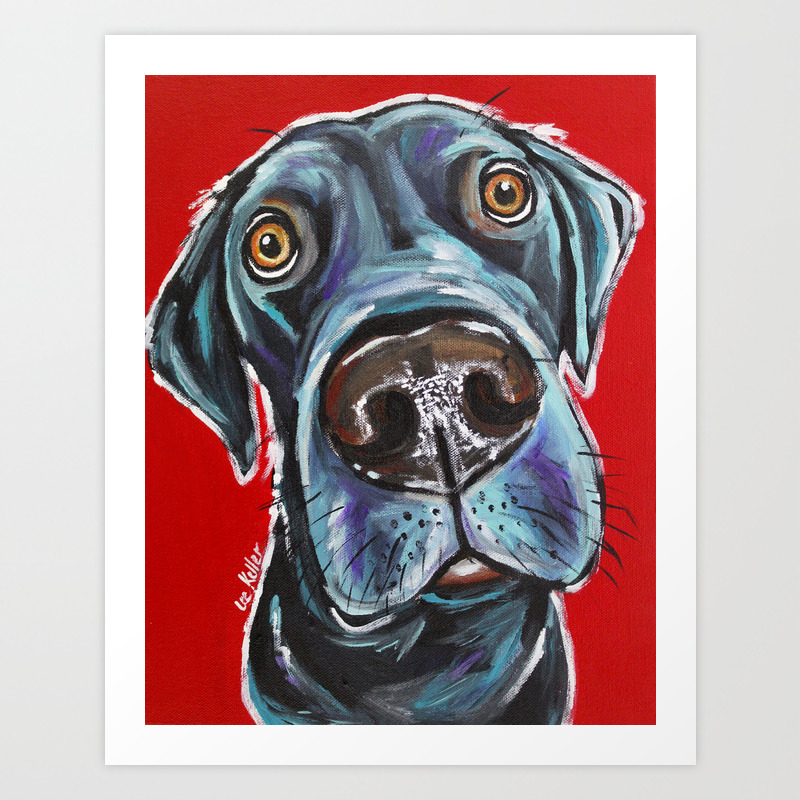 Black Lab Art Colorful Black Labrador Retriever Art Print By