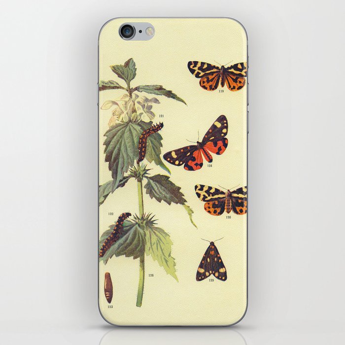 Vintage Scientific Wood and Scarlet Tiger Moths Illustration Print iPhone Skin