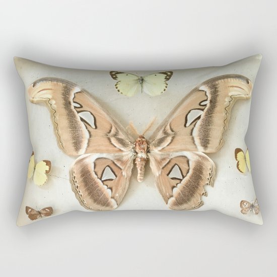 Butterflies and Moths Rectangular Pillow