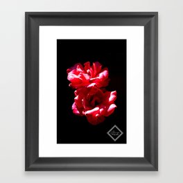 Glowing Rose Framed Art Print