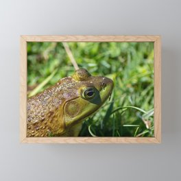 Green Frog closeup Framed Mini Art Print