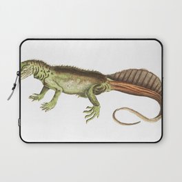 Amboina Lizard or Long-Tailed Variegeted Lizard Laptop Sleeve