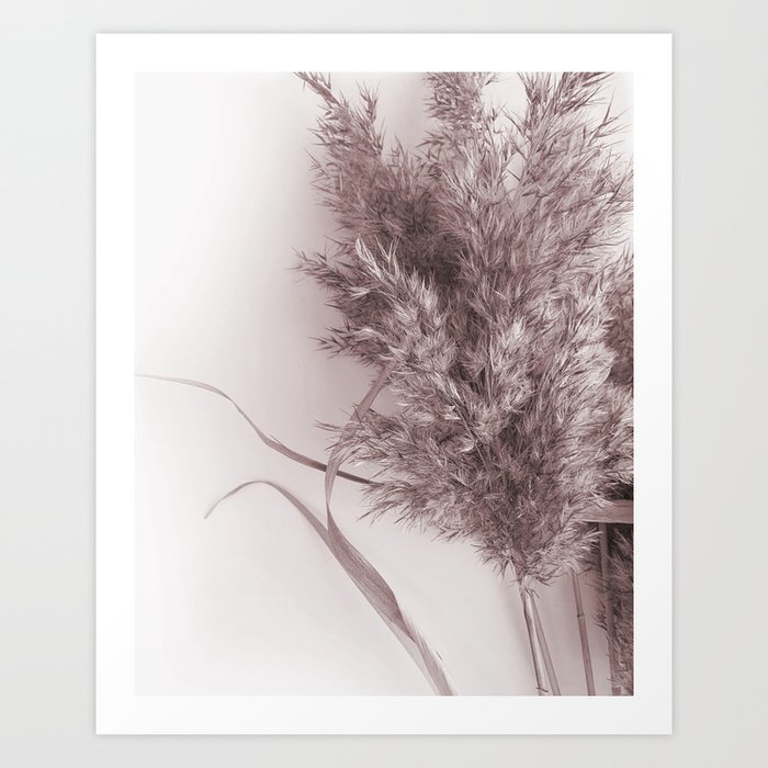 Discover the motif PAMPAS GRASS by Art by ASolo as a print at TOPPOSTER