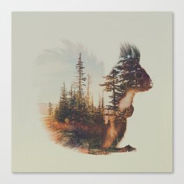 Norwegian Woods: The Squirrel Canvas Print