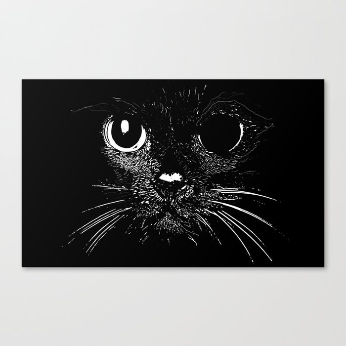 Broken Cat Canvas Print