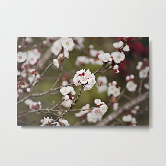 Drawn to the Scent of Spring Metal Print