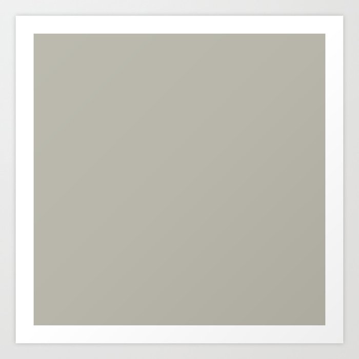 Pussywillow color. Warm neutral solid color  Art Print