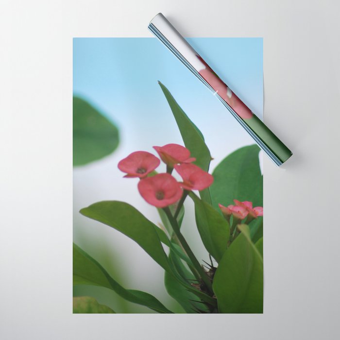 Maldives Flower Wrapping Paper