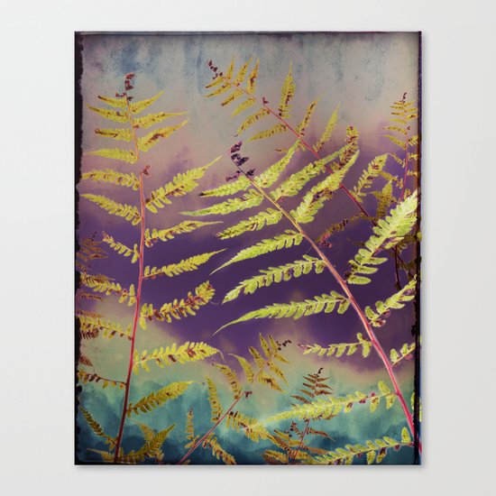 Faded Bracken Canvas Print