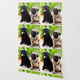 Funny Face Pug Dogfunny Dog Playing Wallpaper