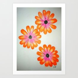 Orange and pink flowers Art Print