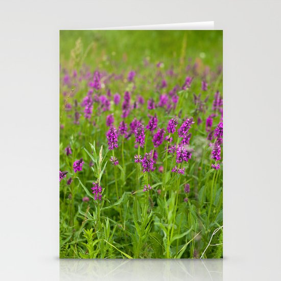 Summer Field 4164 Stationery Cards