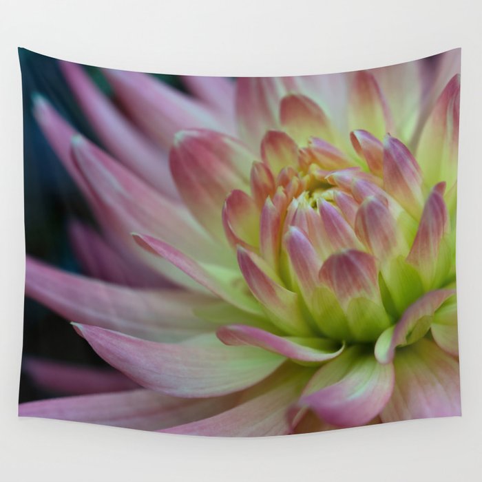 Majestic Pink And Yellow Dahlia Wall Tapestry