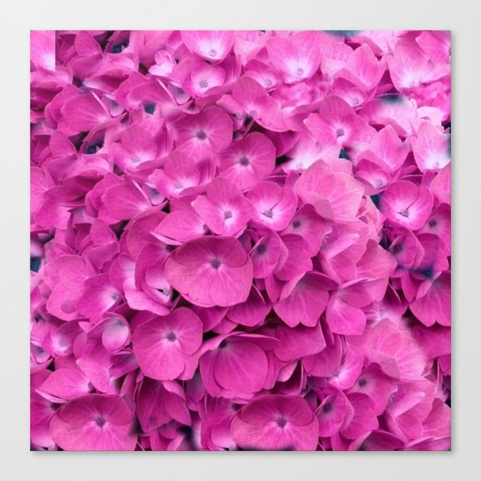 Artful Pink Hydrangeas Floral Design Canvas Print