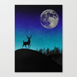 Night Sky Moment  Canvas Print