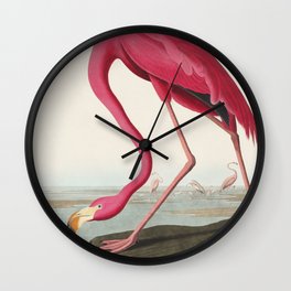 American Flamingo-Audubon Birds of America Wall Clock