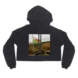 Top of the Hill Welsh Flag Hoody