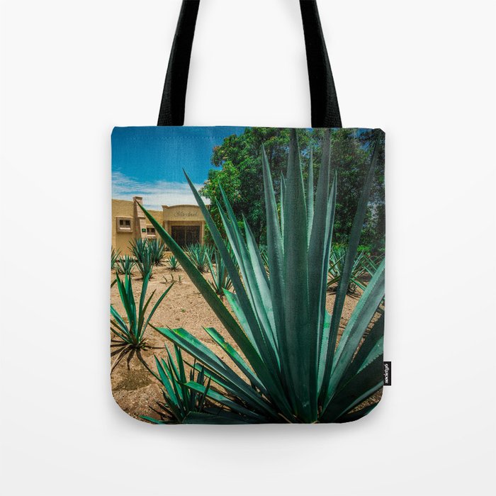 Mexico Photography - Agave Plant In A Mexican Garden Tote Bag