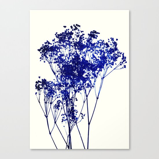 babys breath 1 Canvas Print