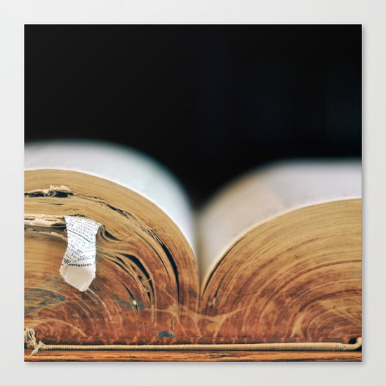 Tome Canvas Print
